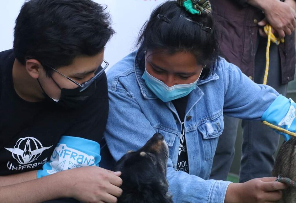 FUNDACIÓN UNIFRANZ lanza la campaña “Hazlo x Ellos” buscando recolectar croquetas para perros en albergues