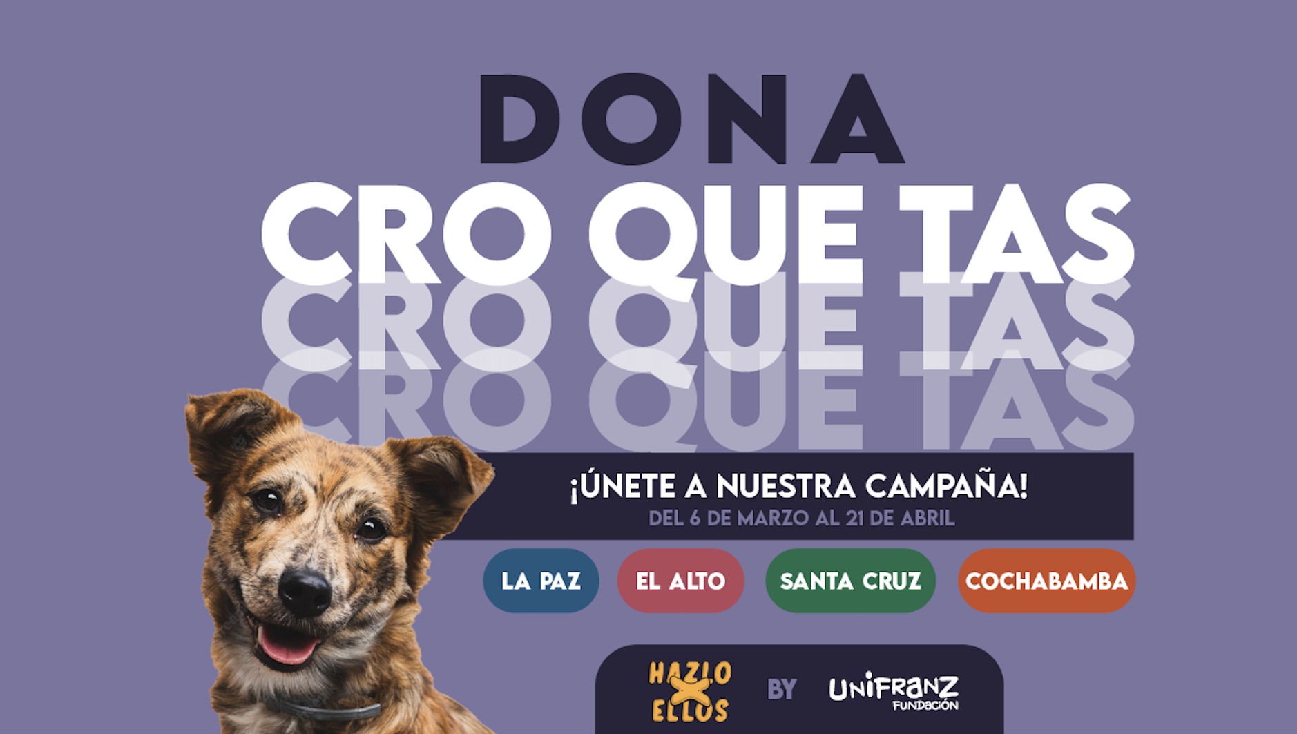 doble Diversidad amistad Hazlo por ellos", una campaña que apela a la solidaridad con las mascotas |  Unifranz
