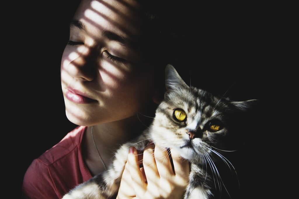 Los gatos de animales de compañía a apoyo psicológico