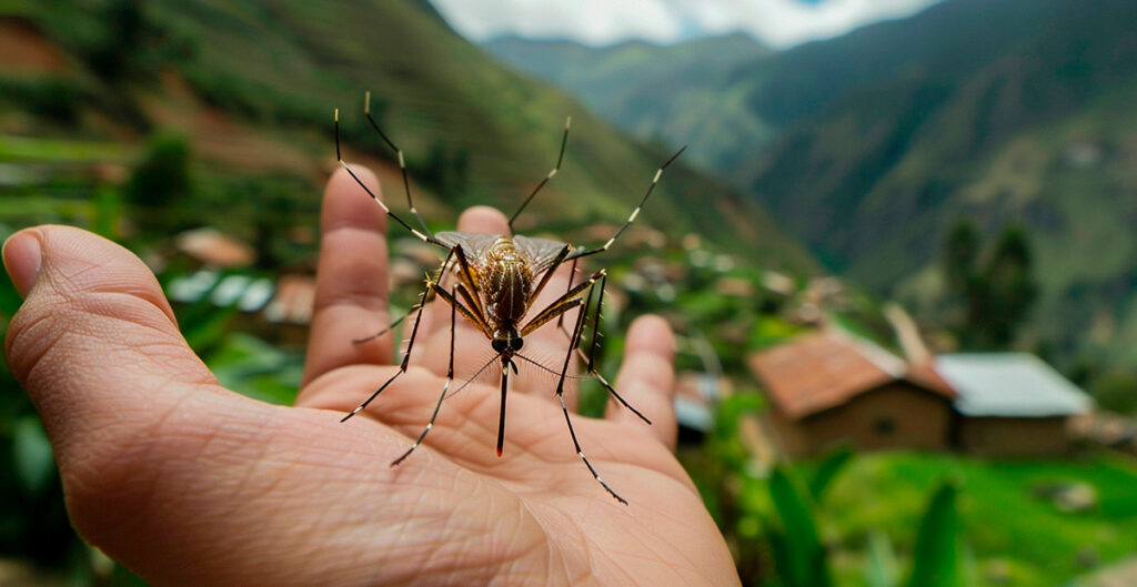 El cambio climático impacta en el dengue y amplifica su alcance