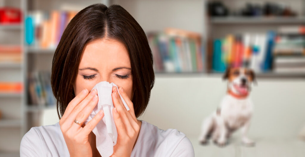 Alergias, el nuevo flagelo del siglo XXI