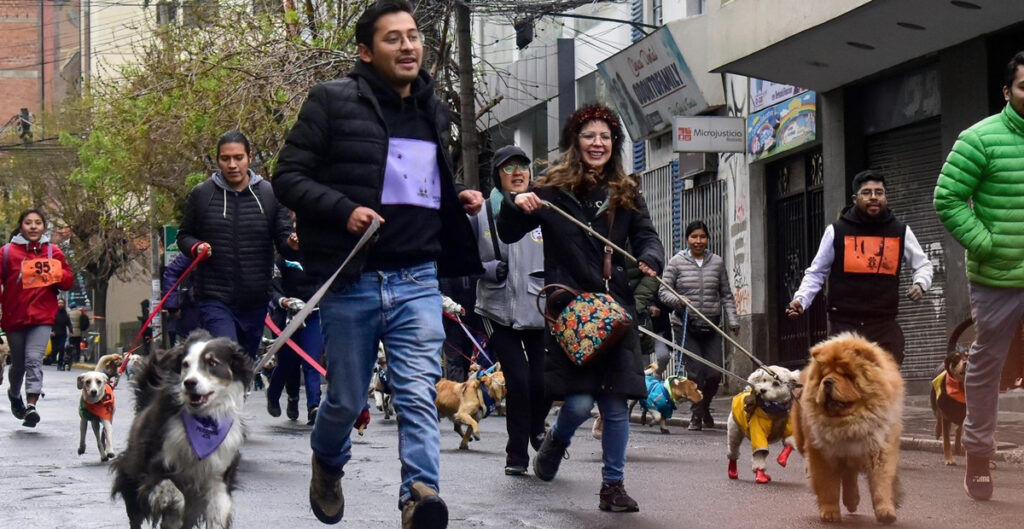 Perrotón 2024 de Unifranz, una carrera contra el abandono y el hambre de perros, vuelve el domingo