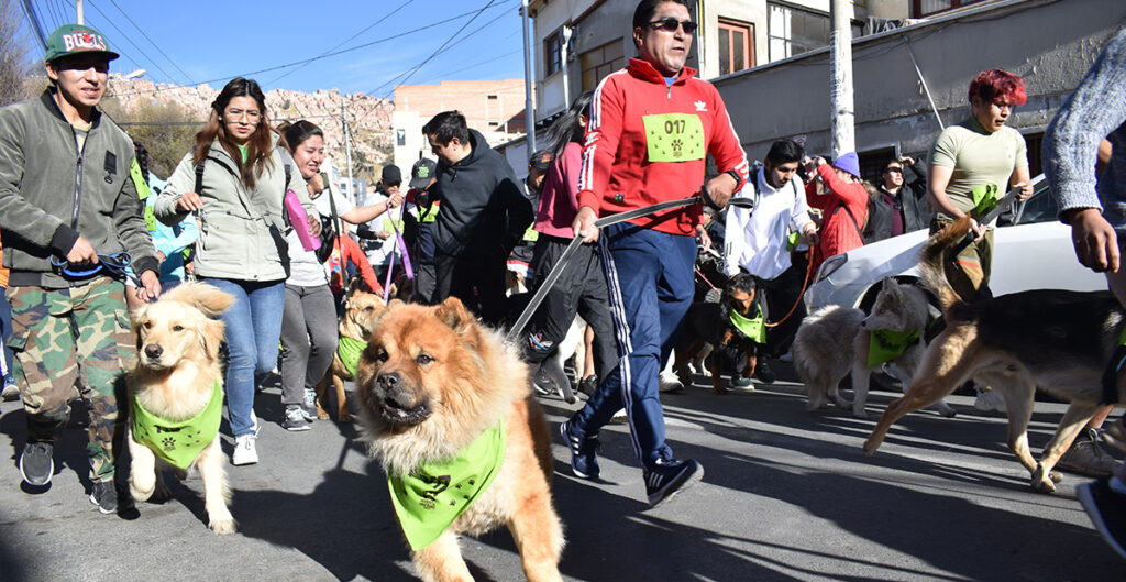 El Perrotón de Unifranz unió a La Paz en una carrera solidaria por las mascotas vulnerables