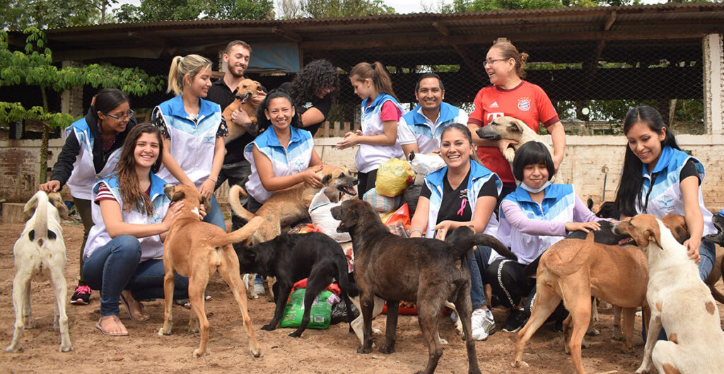 “Hazlo x ellos”, un programa que vela por la comida y el bienestar de perritos abandonados