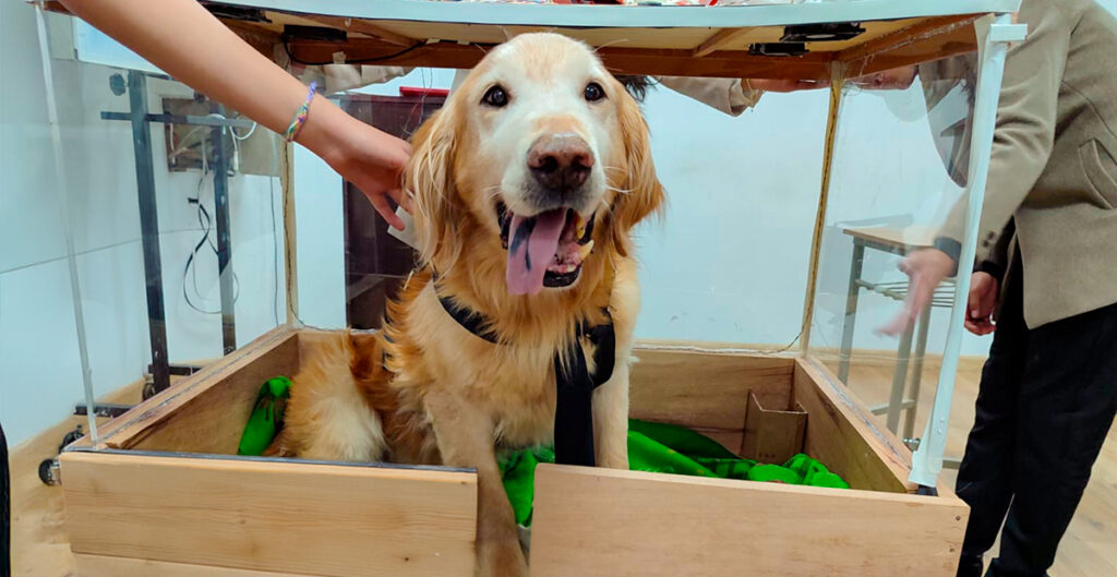 Estudiantes de Ingeniería de Sistemas desarrollan una incubadora veterinaria para canes