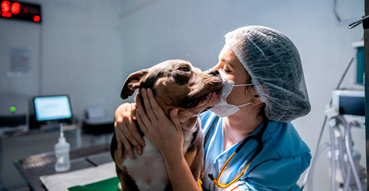 veterinaria 1 | Universidad Privada Franz Tamayo