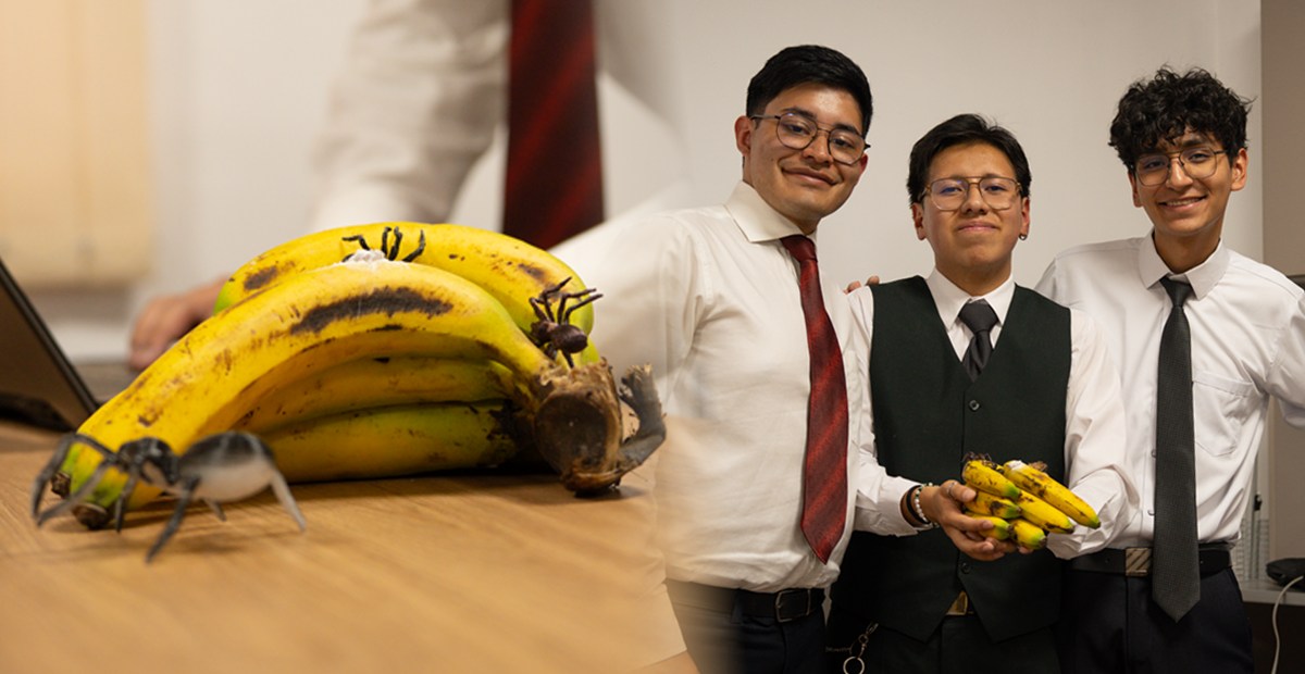 BLOG-HUEVOS-DE-ARAÑA-FOTO-4 | Universidad Privada Franz Tamayo
