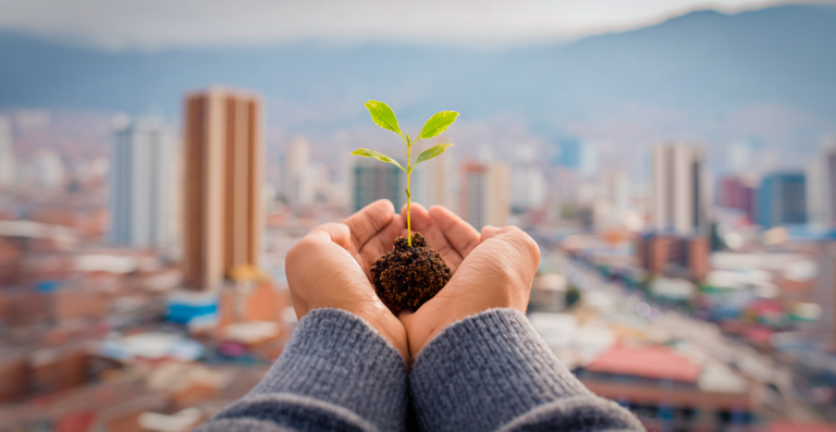 De la selva de cemento a los bosques urbanos: el reto de salvar nuestras ciudades