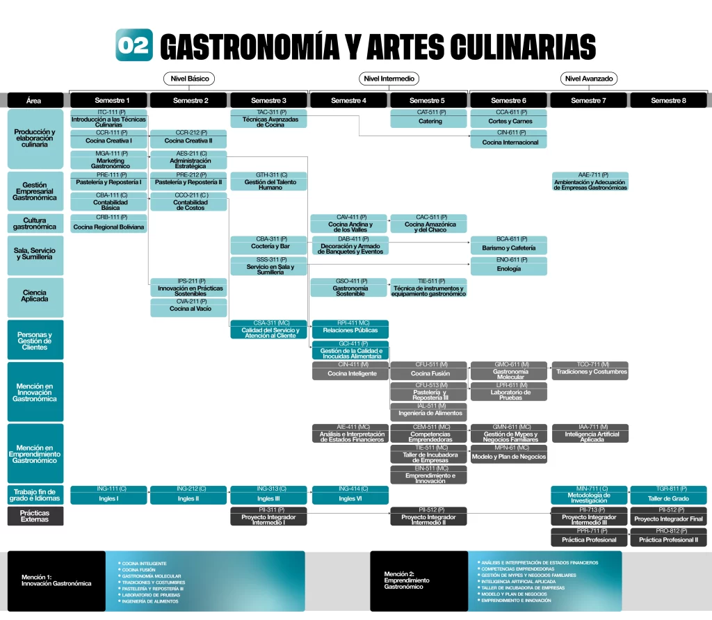 Malla Curricular de la carrera - 4 años