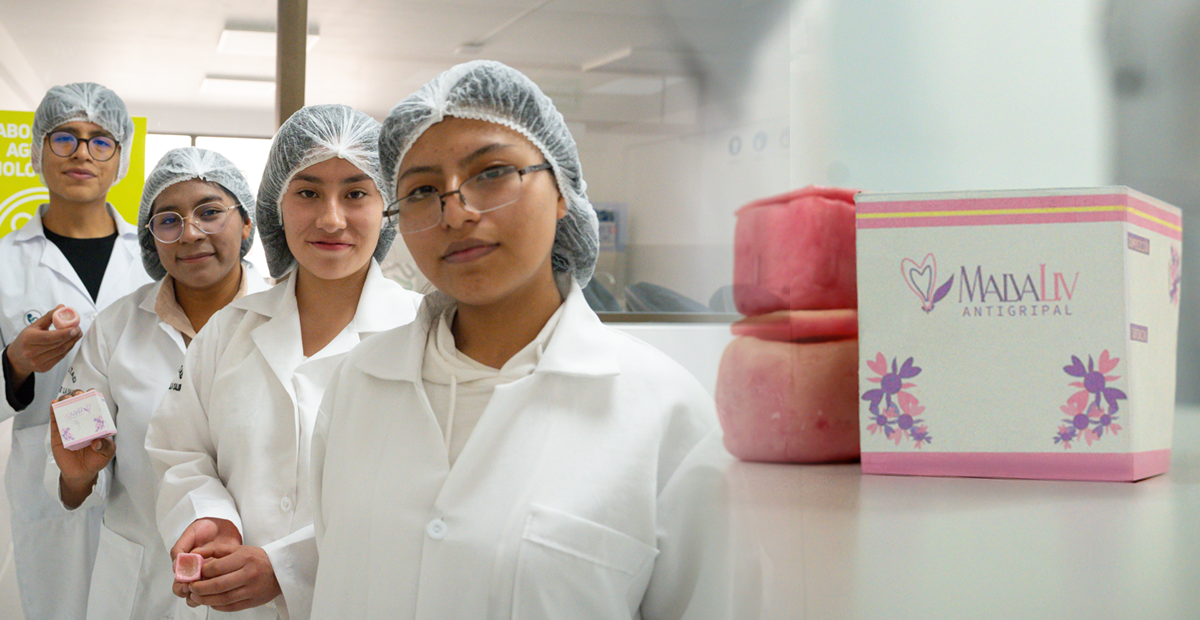 Universitarios desarrollan ungüento natural de matico y malva para combatir el resfrío 