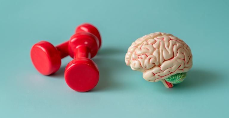 Imagen destacada para el artículo: Actividad física y rendimiento académico: el ejercicio mejora memoria, concentración y aprendizaje